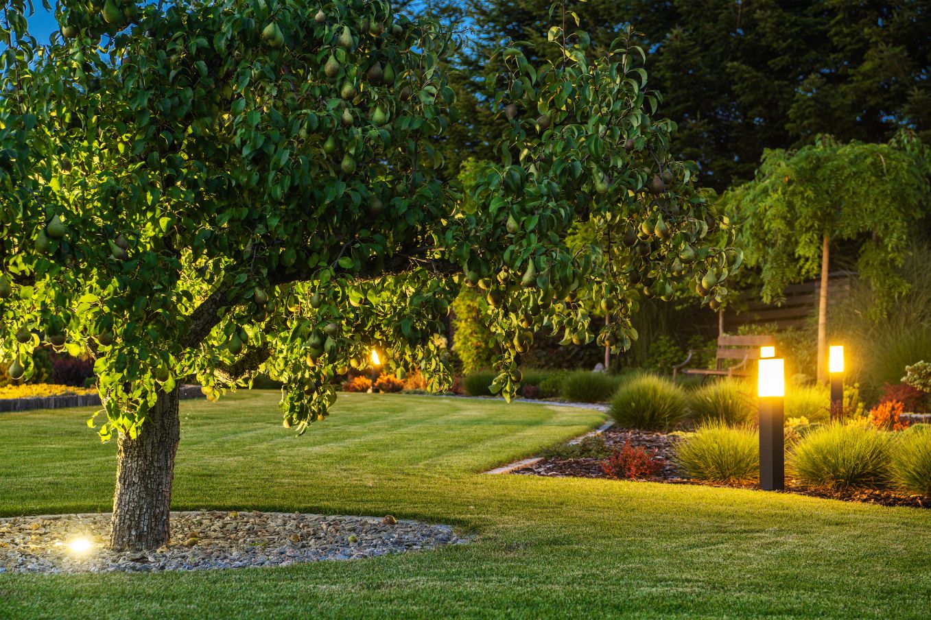 3 crea et amenagement jardin fougères