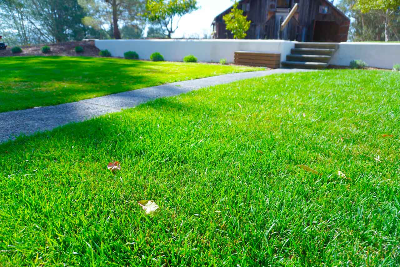 Landscaping_and_florist_img_1