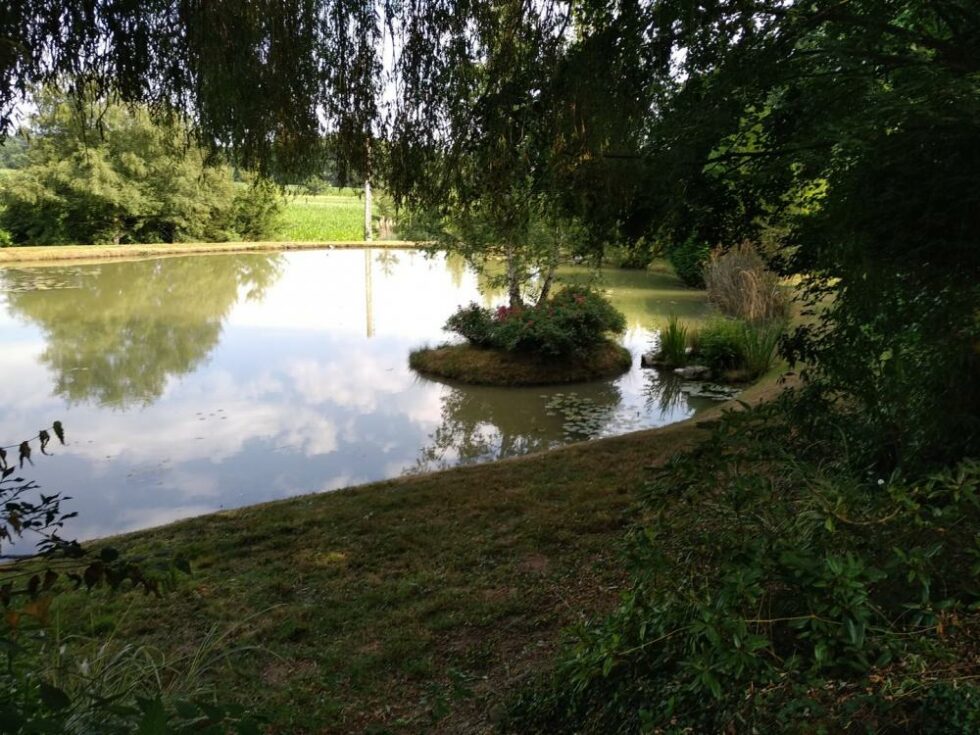 Entretien étang parc tonte taille à La Pellerine